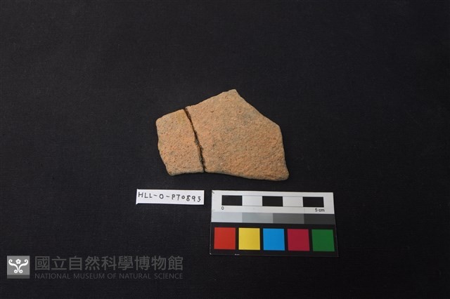 陶片藏品圖，第1張