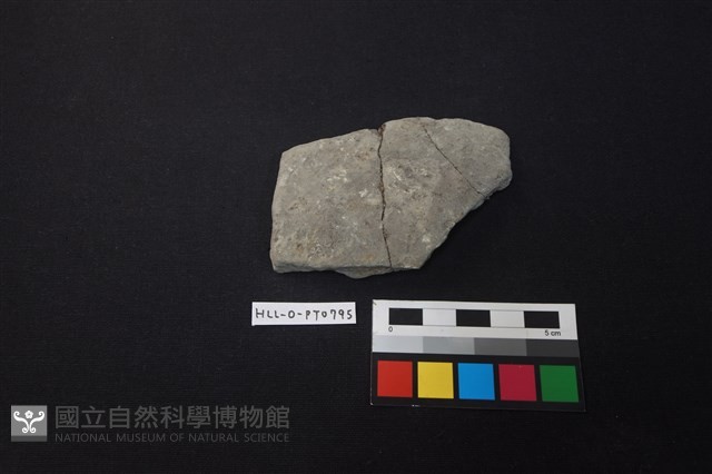 陶片藏品圖，第1張