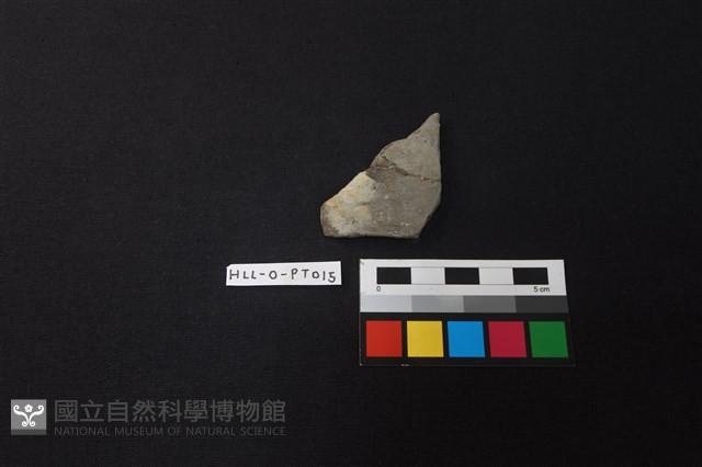 陶片藏品圖，第1張
