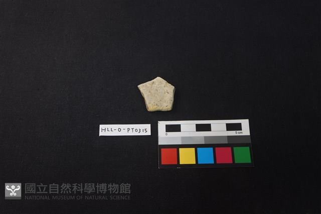 陶片藏品圖，第1張