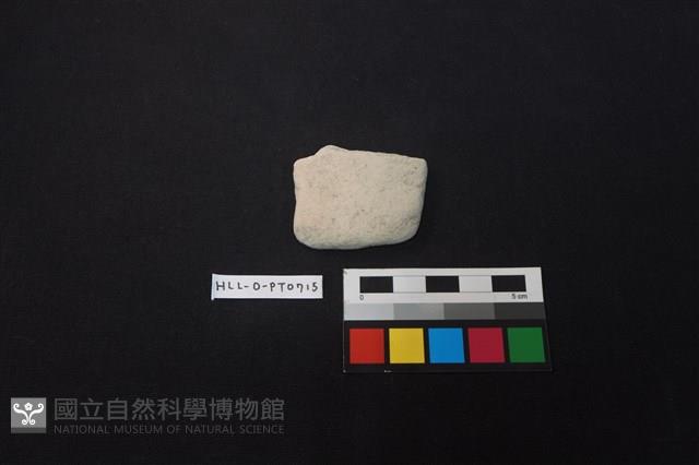 陶片藏品圖，第1張