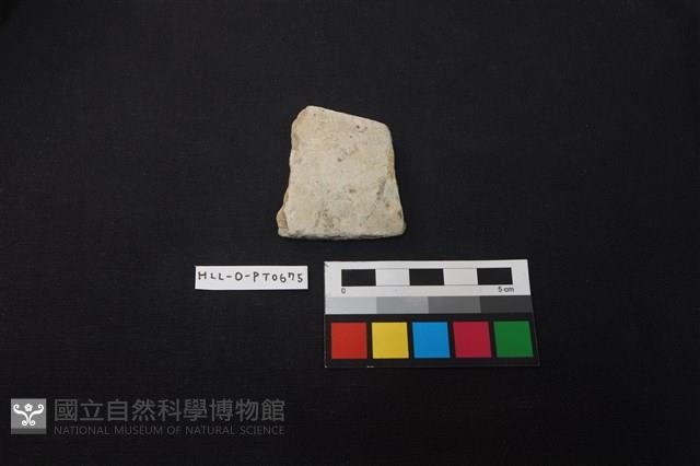 陶片藏品圖，第1張