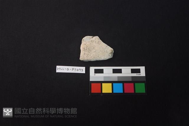 陶片藏品圖，第1張