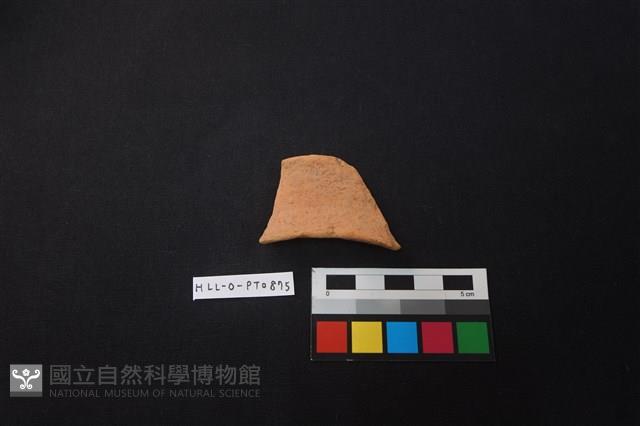 陶片藏品圖，第1張