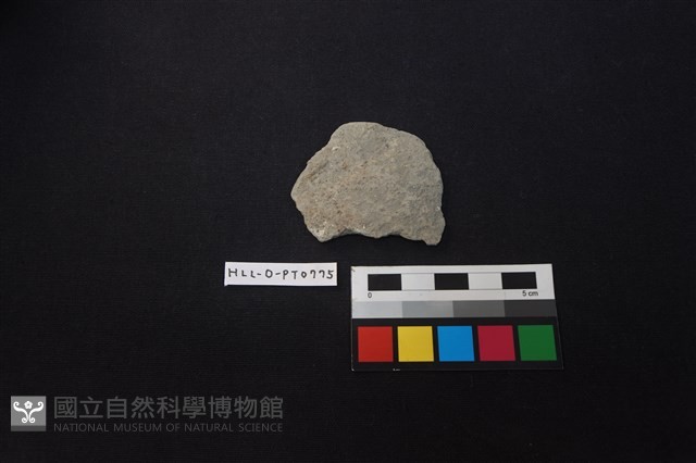 陶片藏品圖，第1張