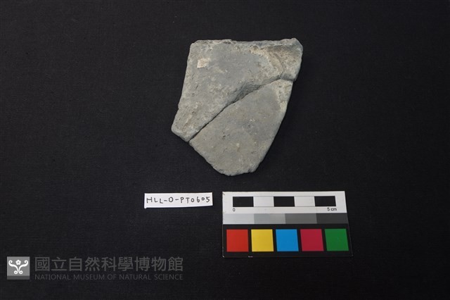 陶片藏品圖，第1張