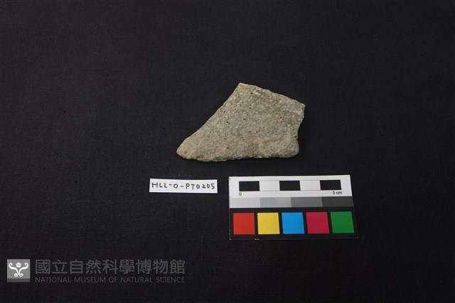 陶片藏品圖，第1張