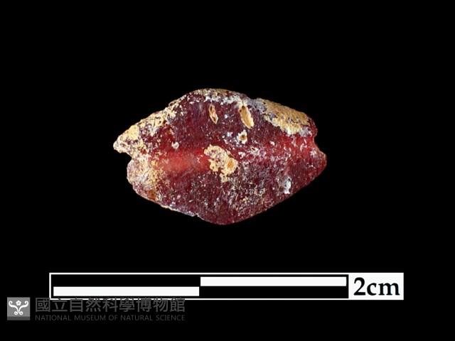 玻璃珠藏品圖，第1張