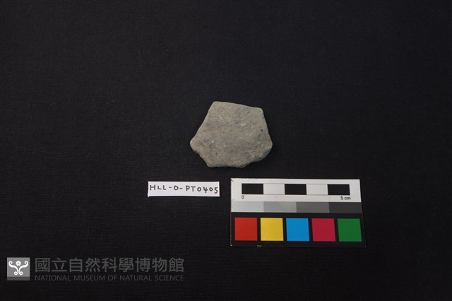 陶片藏品圖，第1張