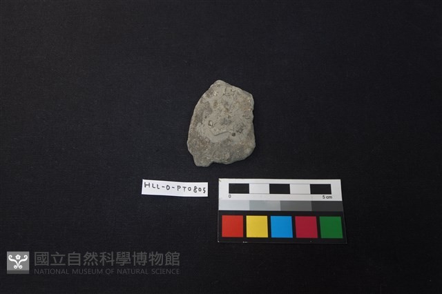 陶片藏品圖，第1張