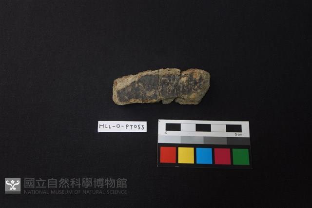 陶片藏品圖，第1張