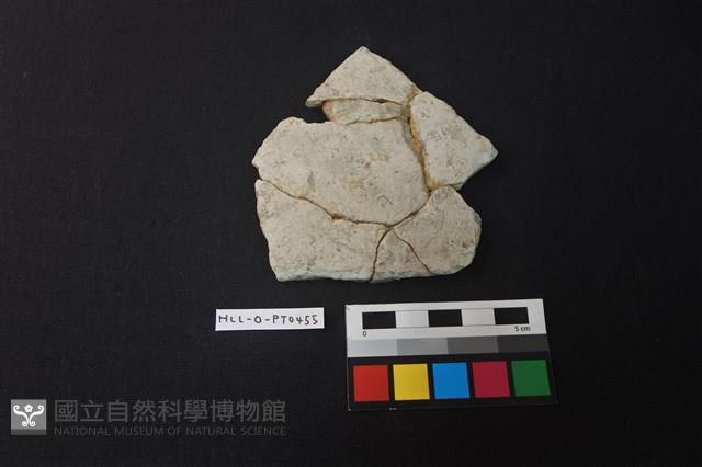 陶片藏品圖，第1張