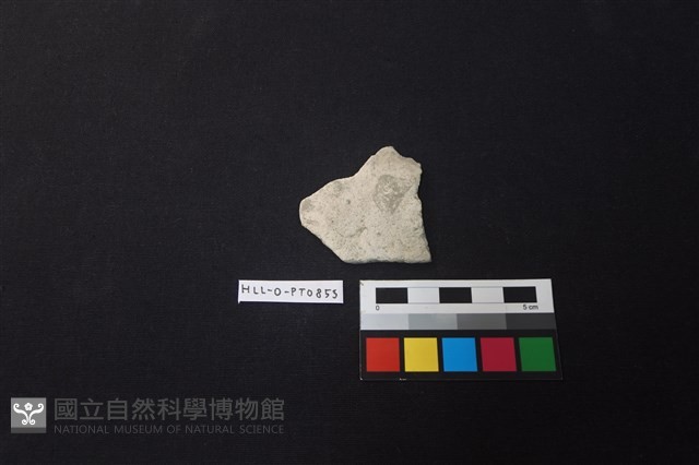 陶片藏品圖，第1張