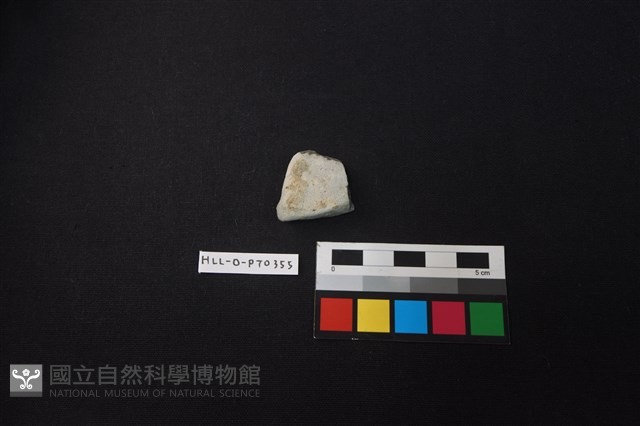 陶片藏品圖，第1張