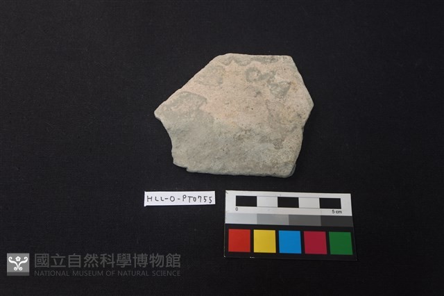陶片藏品圖，第1張