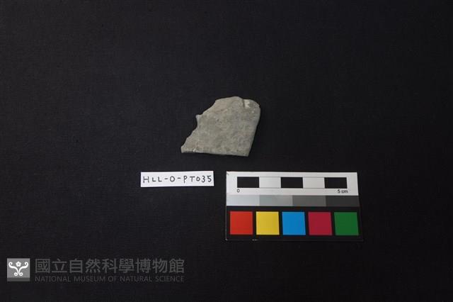 陶片藏品圖，第1張