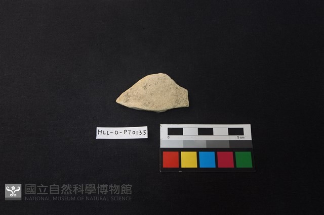 陶片藏品圖，第1張