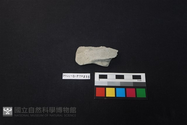 陶片藏品圖，第1張