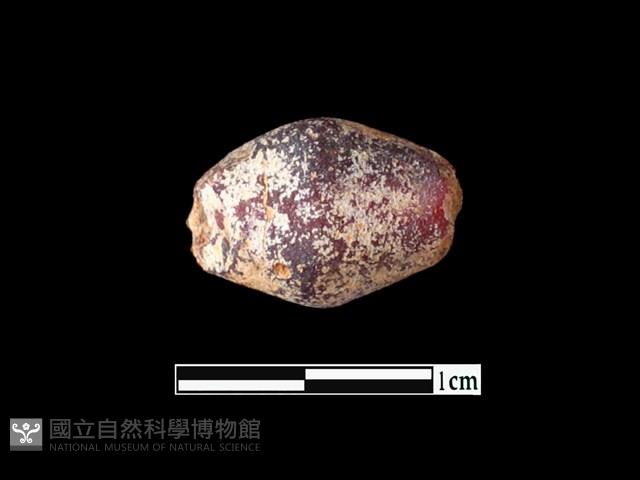 玻璃珠藏品圖，第1張