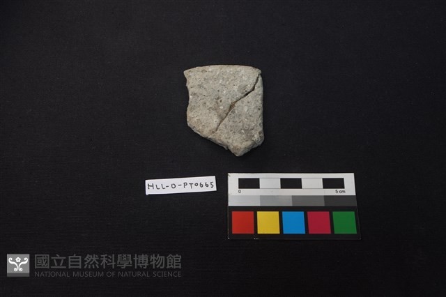 陶片藏品圖，第1張