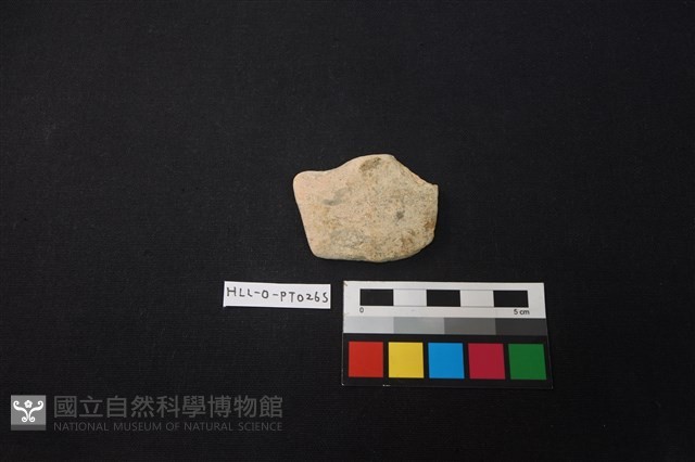 陶片藏品圖，第1張