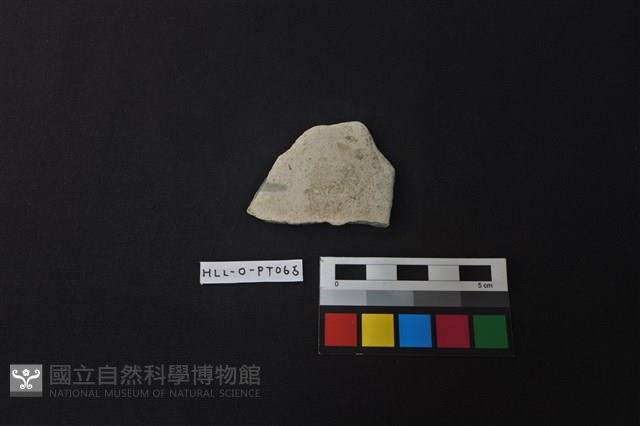 陶片藏品圖，第1張