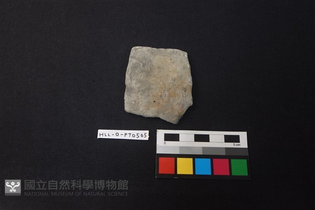陶片藏品圖，第1張