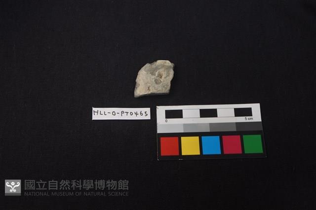 陶片藏品圖，第1張