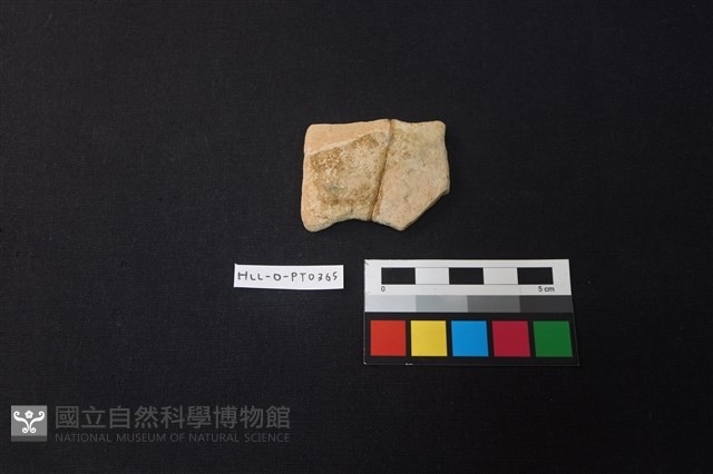 陶片藏品圖，第1張