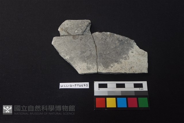 陶片藏品圖，第1張
