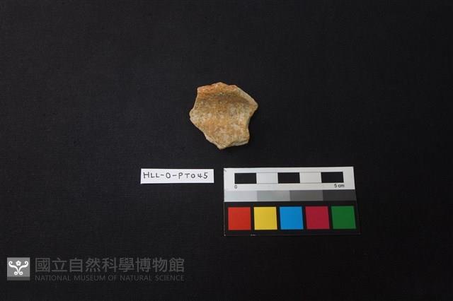 陶片藏品圖，第1張