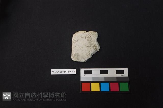 陶片藏品圖，第1張