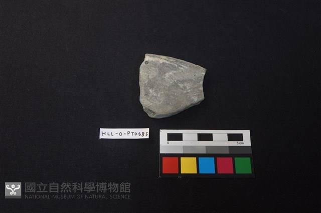 陶片藏品圖，第1張