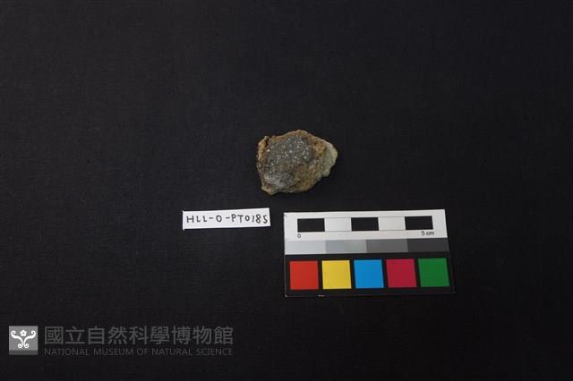 陶片藏品圖，第1張