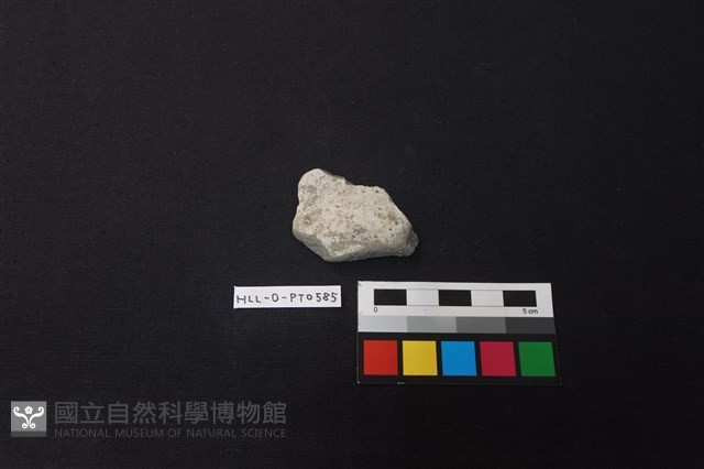 陶片藏品圖，第1張