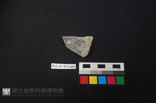 陶片藏品圖，第1張