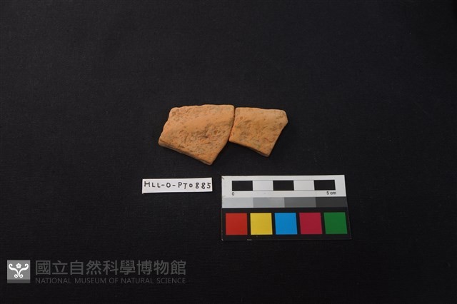 陶片藏品圖，第1張