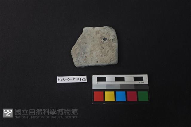 陶片藏品圖，第1張