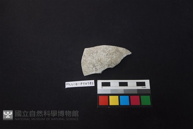 陶片藏品圖，第1張