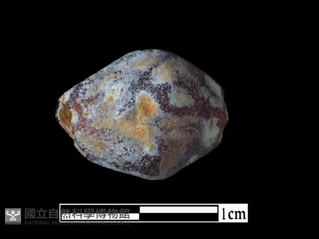 玻璃珠藏品圖，第1張