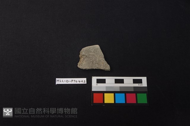 陶片藏品圖，第1張