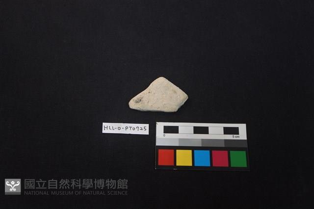 陶片藏品圖，第1張