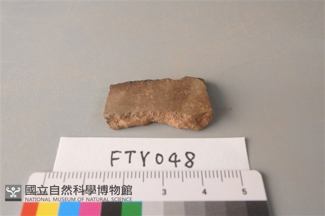 陶片藏品圖，第1張