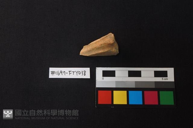 獸骨藏品圖，第1張