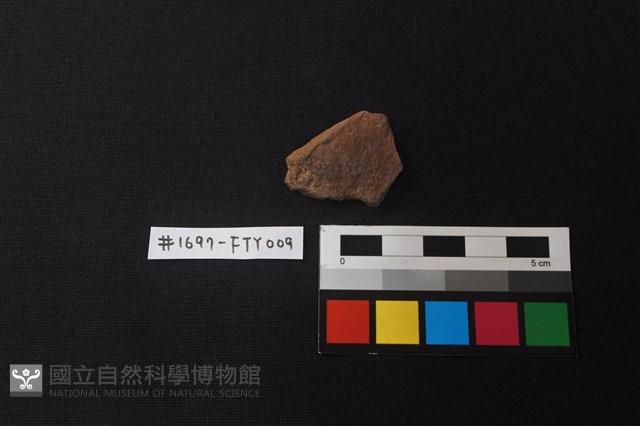 薄石片藏品圖，第1張