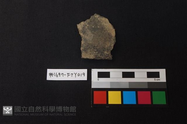 陶片藏品圖，第1張