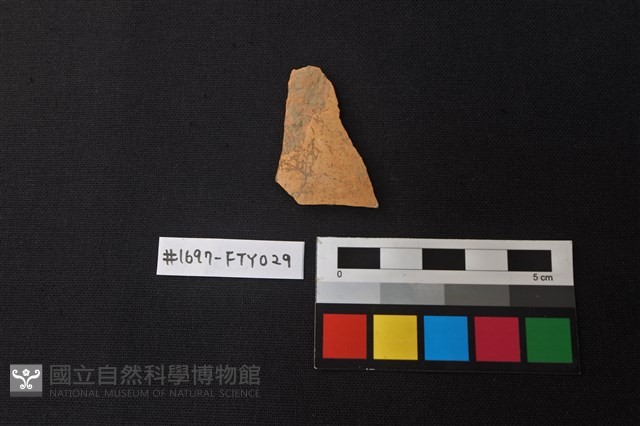 陶片藏品圖，第1張