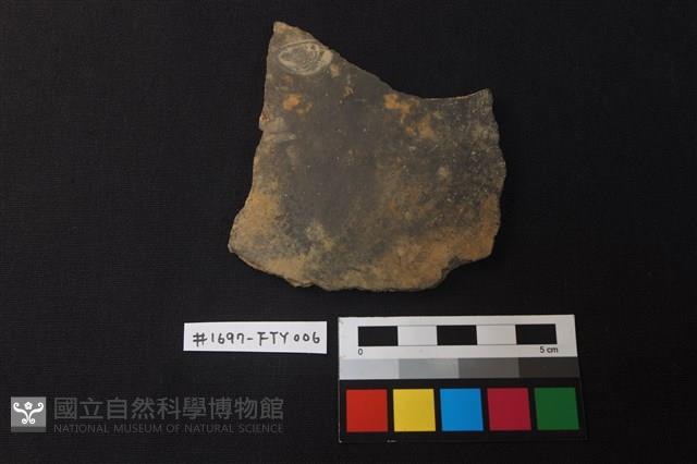 陶片藏品圖，第1張