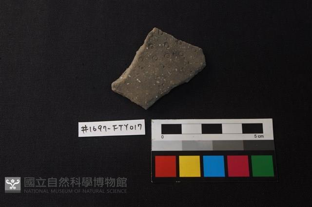 陶片藏品圖，第1張