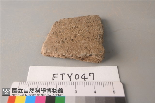 陶片藏品圖，第1張